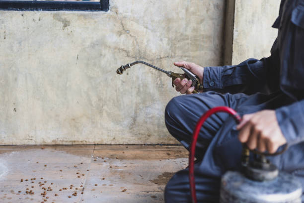 Best Pest Control for Homes  in Preston, IA